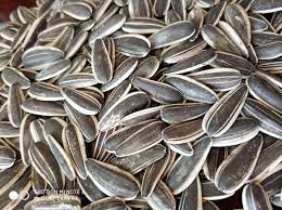 Sunflower Seeds 250g