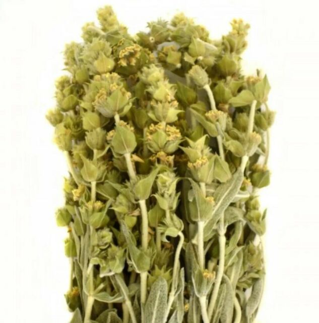 Greek Organic Mountain Tea 20g