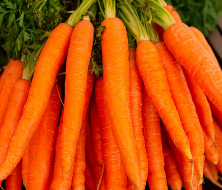Carrot Juice