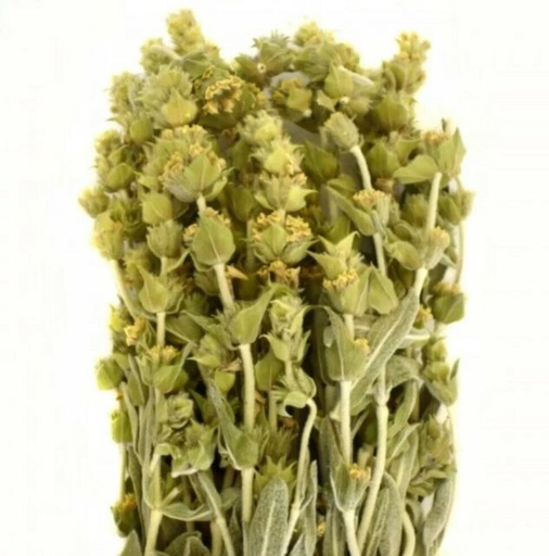 Greek Organic Mountain Tea 20g